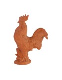 Gallo in Terracotta