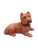 Cane Fox Terrier in Terracotta