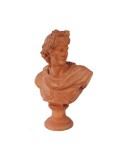 Busto Dioniso in Terracotta