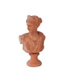 Busto Diana in Terracotta