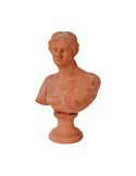 Busto Niobe in Terracotta