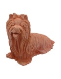 Cane Yorkshire in Terracotta