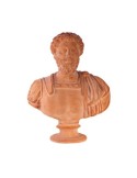 Busto Marco Aurelio in terracotta | Terrecotte Cestenoli