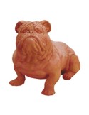 Bulldog in terracotta