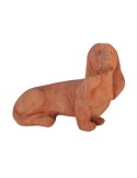 Bassethound in terracotta