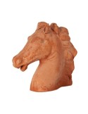 Testa di cavallo in terracotta