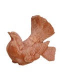 Colomba in terracotta | Terrecotte Cestenoli