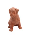 Cane Boxer in Terracotta