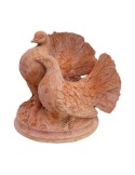 Colombe in Terracotta